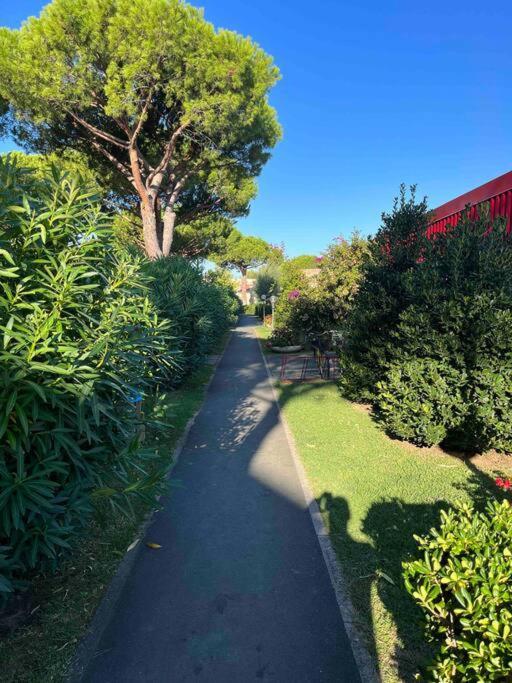 毕博纳的码头Casina Mare Bibbona公寓 外观 照片